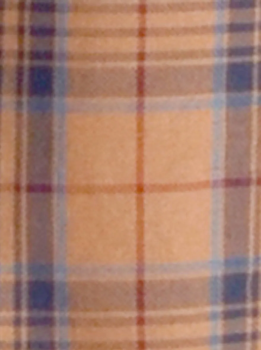 Cashew Brown & Blue Checked Slim Fit Casual Shirt | JadeBlue